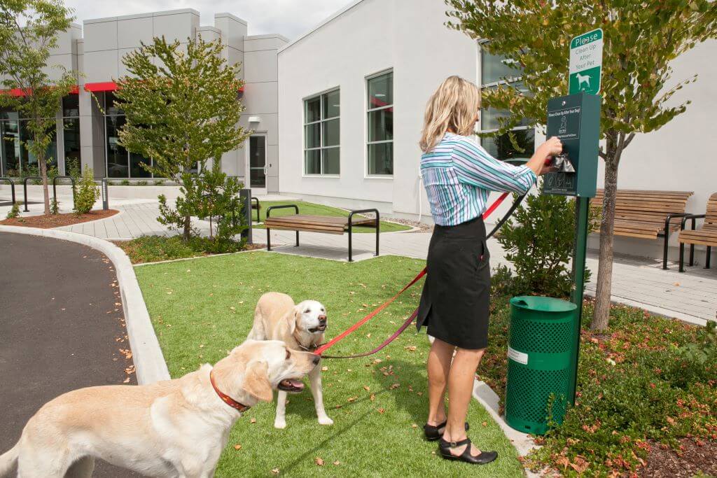 Woman with two golden retrievers using pet station at Beaverton Toyota.